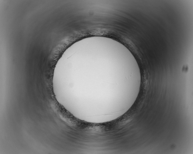 X0000115380307200911241309