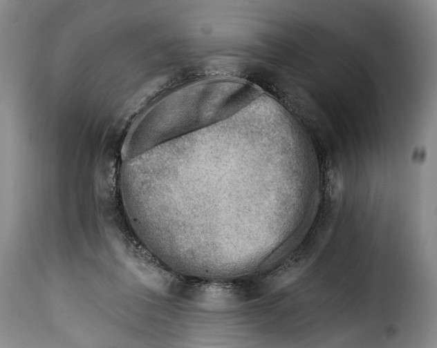 X0000115380308200911241309