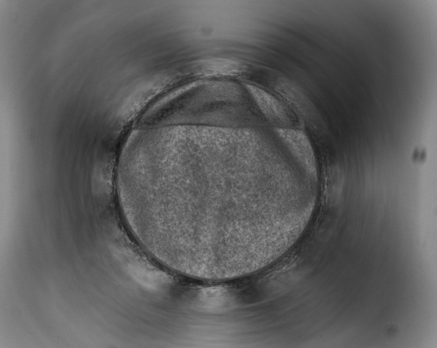 X0000115380309200911241309