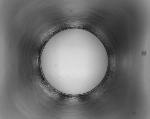 X0000115380310200911241309