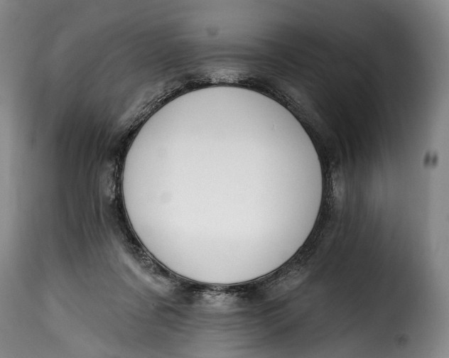 X0000115380311200911241309