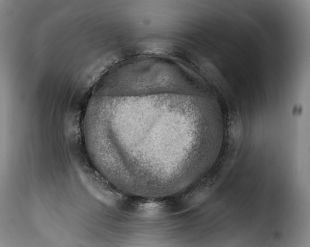 X0000115380312200911241309