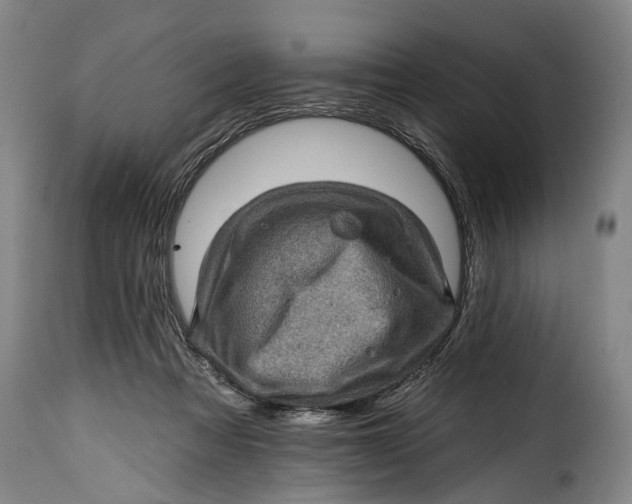 X0000115380313200911241309