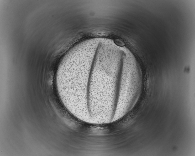 X0000115380315200911241309