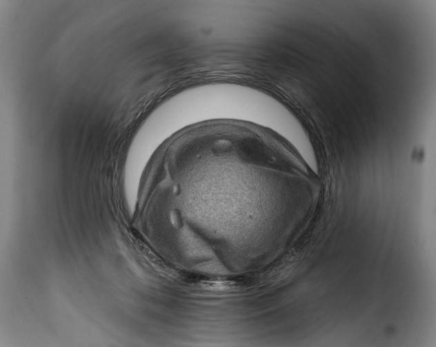 X0000115380316200911241309