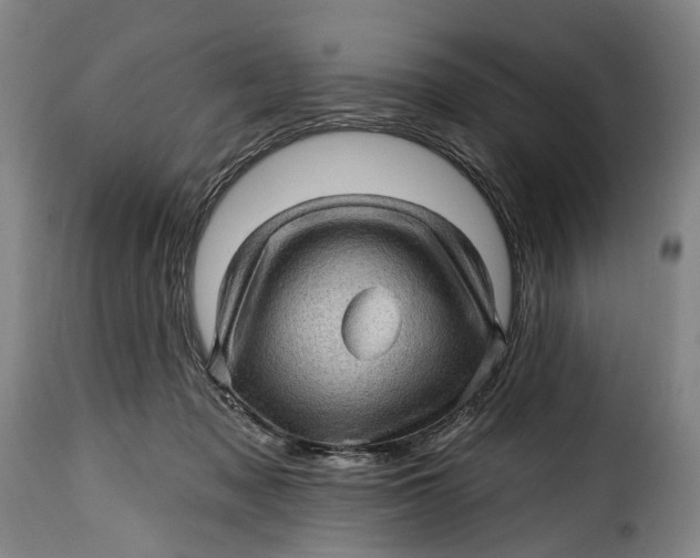 X0000115380317200911241309