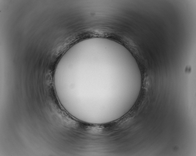 X0000115380318200911241309