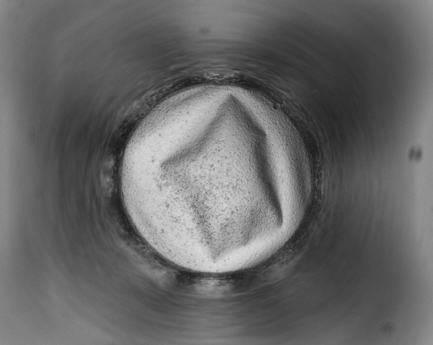 X0000115380319200911241309