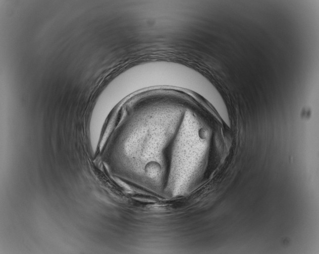 X0000115380320200911241309