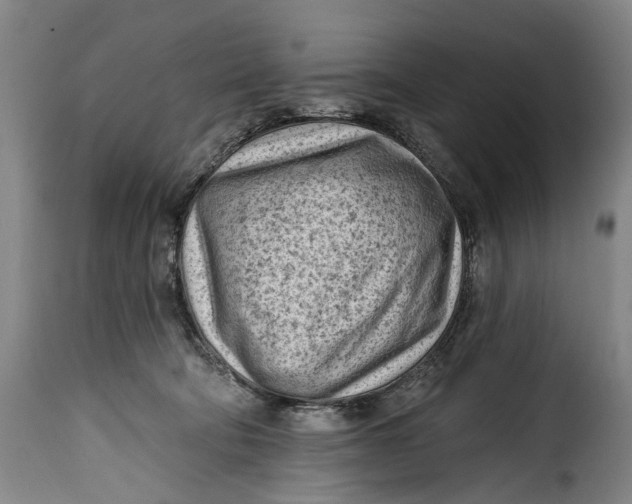 X0000115380322200911241309