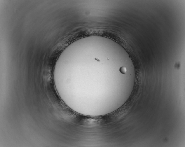 X0000115380323200911241309