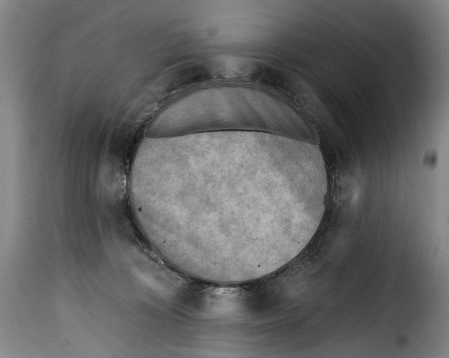 X0000115380324200911241309