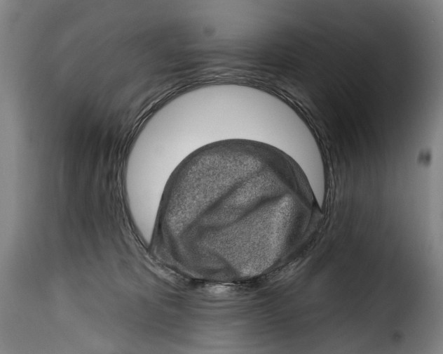 X0000115380325200911241309