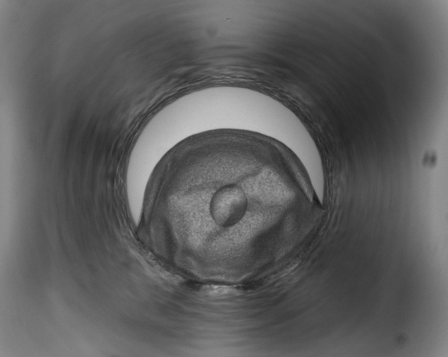 X0000115380327200911241309