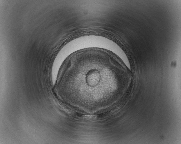 X0000115380328200911241309