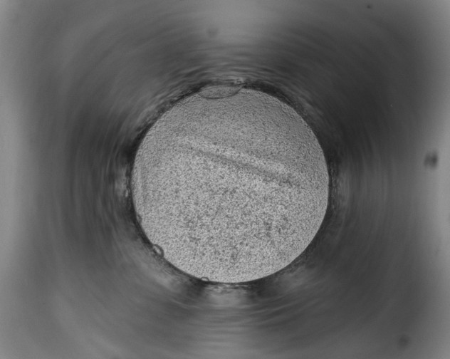 X0000115380331200911241309