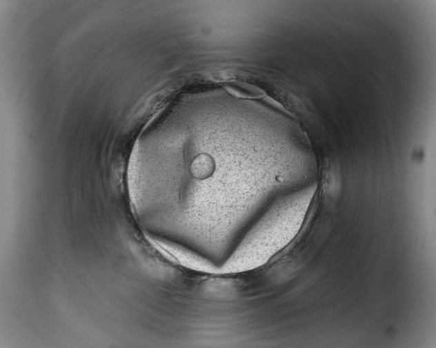 X0000115380332200911241309