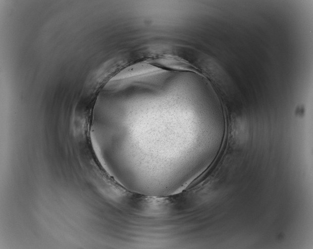 X0000115380333200911241309