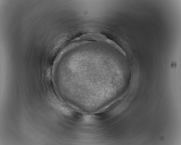 X0000115380336200911241309