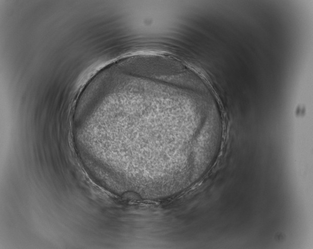 X0000115380337200911241308