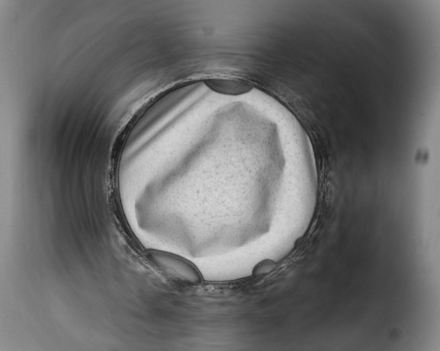 X0000115380338200911241308