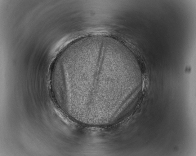 X0000115380339200911241308