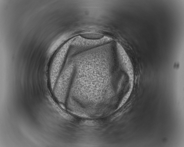 X0000115380341200911241308