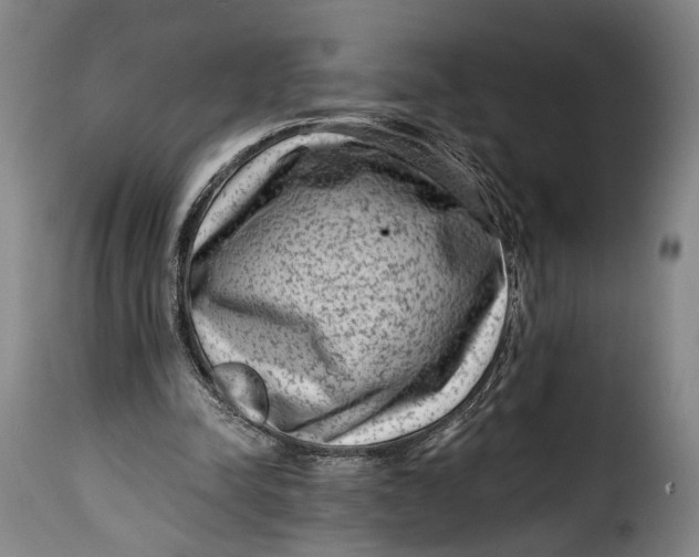 X0000115380342200911241308