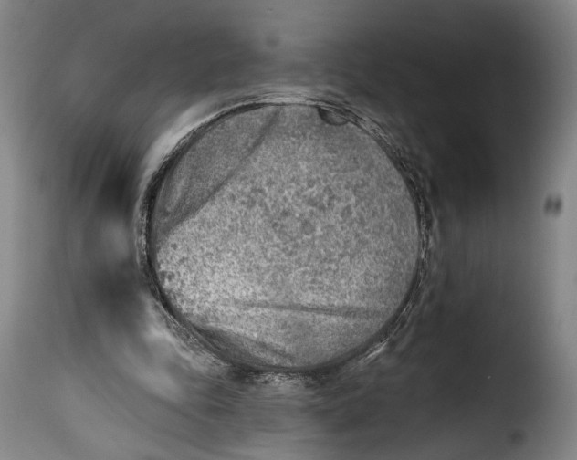 X0000115380343200911241308