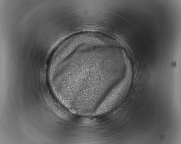 X0000115380346200911241308