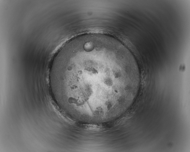 X0000115380347200911241308