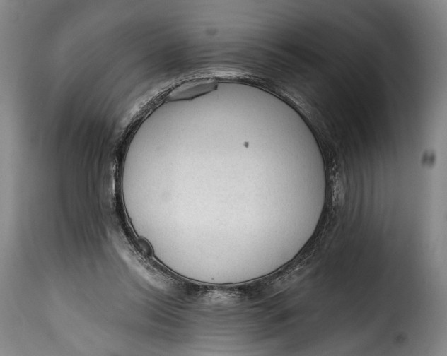 X0000115380350200911241308