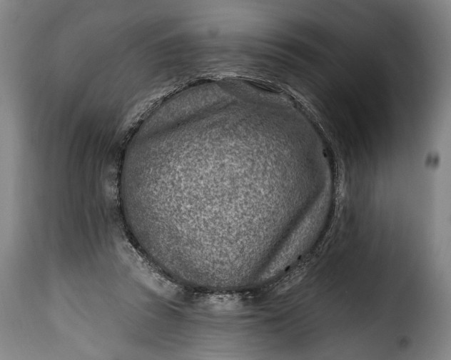 X0000115380353200911241308