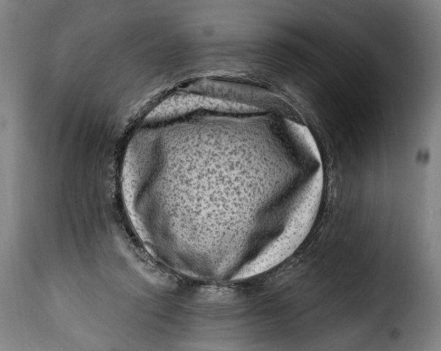 X0000115380354200911241308