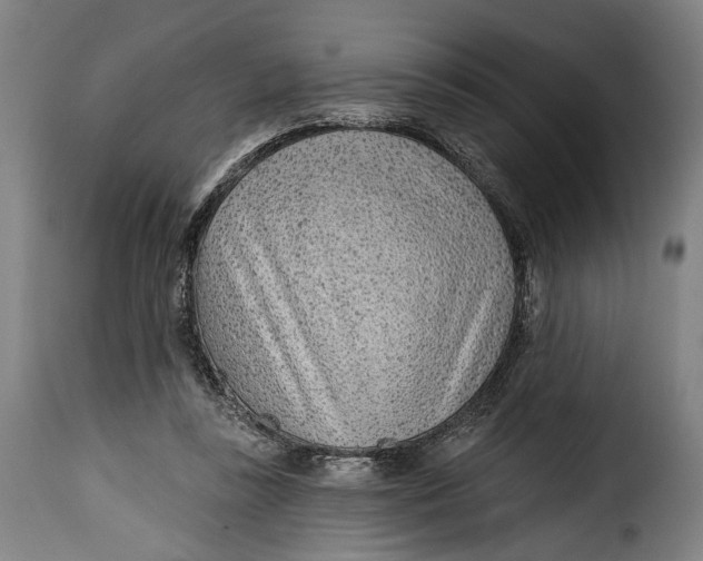 X0000115380355200911241309