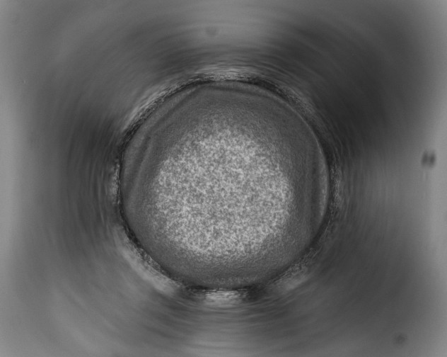 X0000115380357200911241309