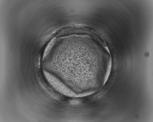 X0000115380358200911241309