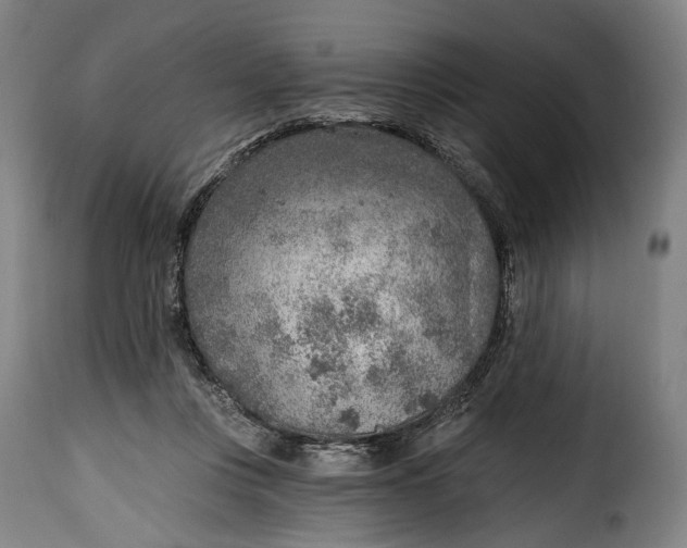 X0000115380359200911241309