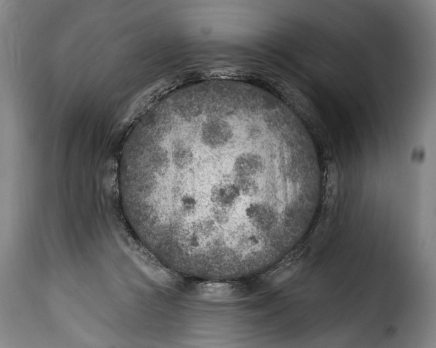 X0000115380361200911241309