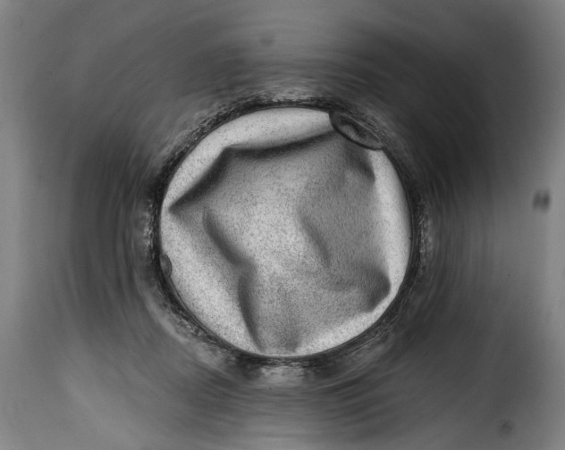 X0000115380362200911241309