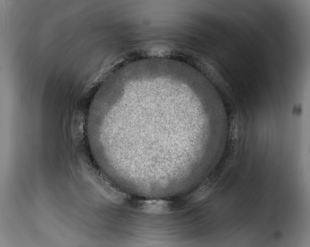 X0000115380363200911241309