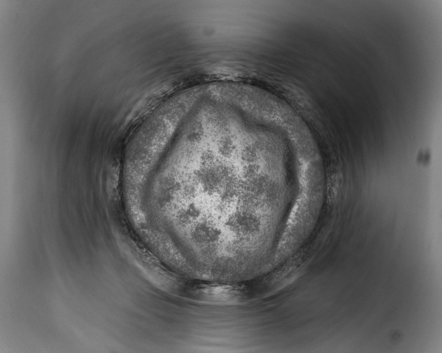 X0000115380365200911241309