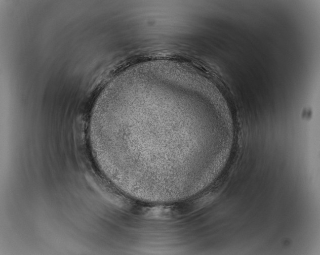 X0000115380366200911241309