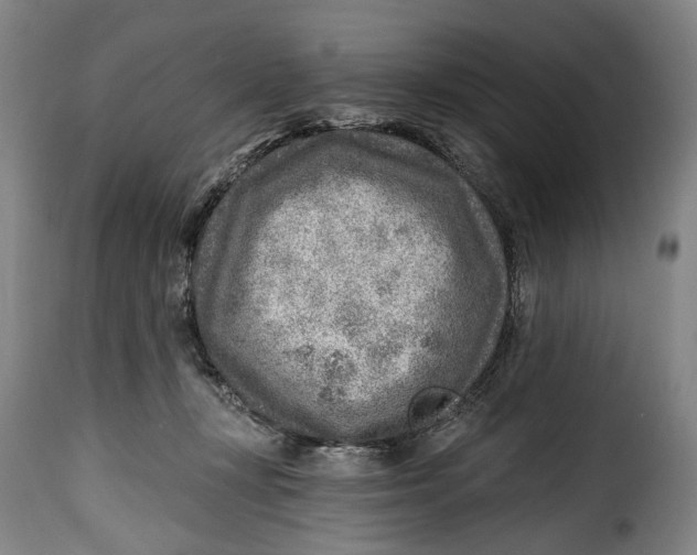 X0000115380367200911241309