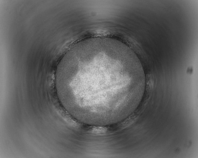 X0000115380369200911241309