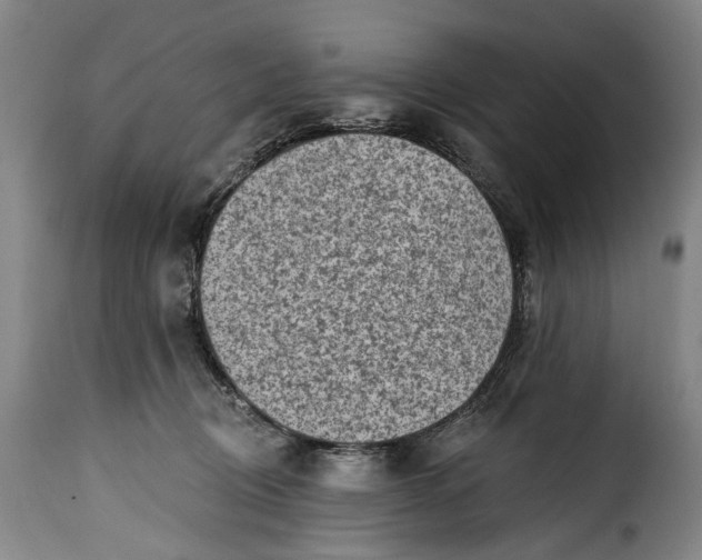 X0000115380370200911241309