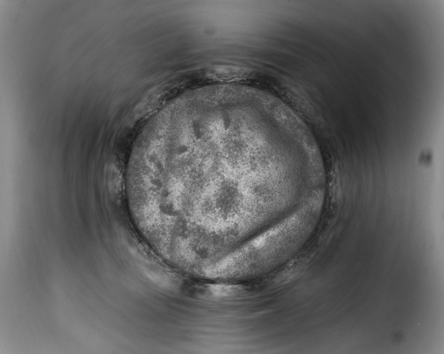 X0000115380371200911241309