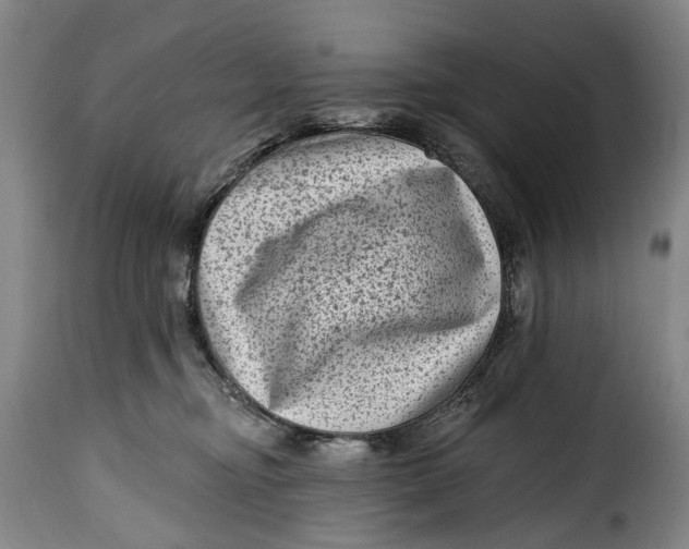 X0000115380374200911241309