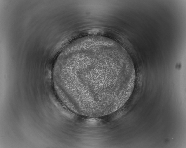 X0000115380375200911241309