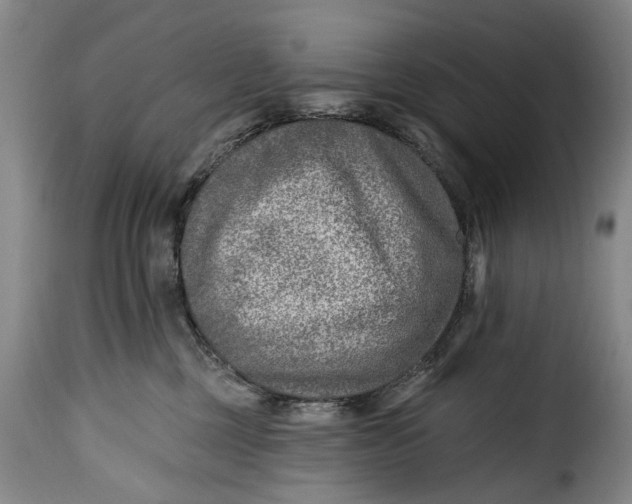 X0000115380377200911241309